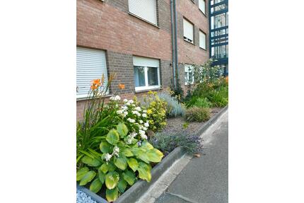 Wohnung in Heinsberg -Dremmen zu vermieten