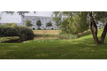 Schöne helle 2-Zimmer Wohnung mit sonnigem Balkon - Hagenow