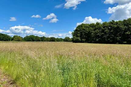 Grundstück in Ellerbek 950.000,00 € 5936 m²