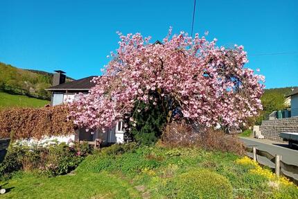 Ferienwohnung Heidfellersch Nähe Rothaarsteig - Hilchenbach