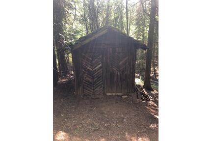 Schmelz 2.827qm Grünland mit Baumbestand - Borken