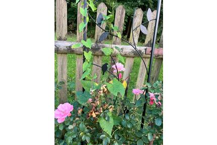 Garten, Schrebergarten, Obstgarten - Schwarzhofen