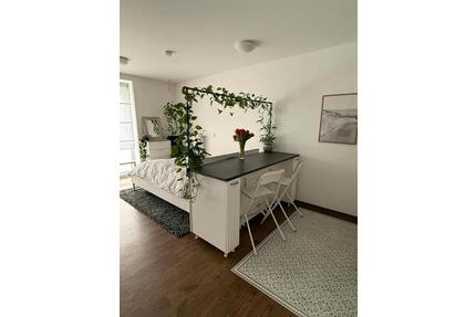 1-Zimmer Apartment in Ulm-Weststadt