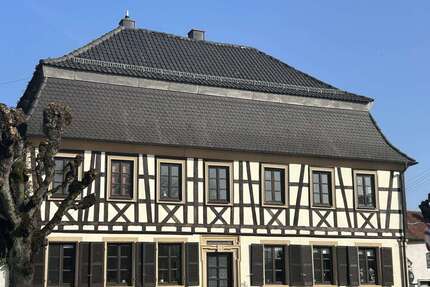 Haus zum Kaufen in Minfeld 495.000,00 € 300 m²