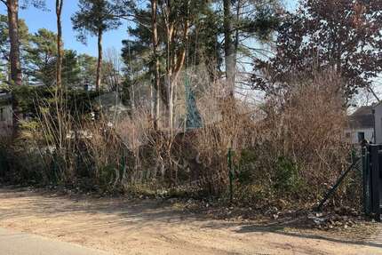 Grundstück zu verkaufen in Groß Glienicke 590.000,00 € 990 m²