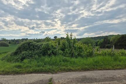 480 m2 Gartengrundstück Bonn-Lannesdorf -ein Stück Ruhe im Grünen