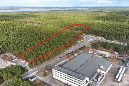 1,6 ha Waldfläche an der Stadtgrenze von Hoyerswerda