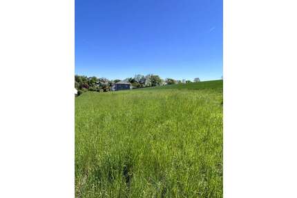 Grundstück zu verkaufen in Lautertal 93.500,00 € 550 m²