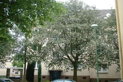 Wohnung zum Mieten in Essen 369,00 € 44.86 m²