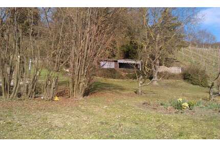 Grundstück in Buchbrunn 105.000,00 € 3082 m²