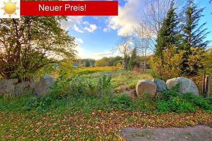 Grundstück zu verkaufen in Lüttenmark 89.000,00 € 3316 m²