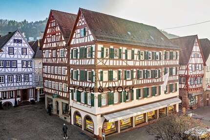 Haus zum Kaufen in Mosbach 1.200.000,00 € 343.93 m²