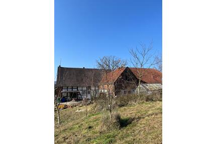 Resthof ländliches Anwesen Bauernhof mit 9ha AckerWeideWald - Vlotho