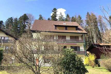 Wohnung zum Mieten in Bad Herrenalb 335,00 € 39 m²