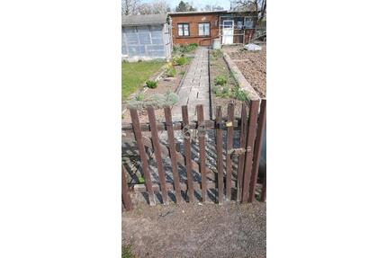 Pachtgarten am Hohlungsbügel Nordhausen ,Häusichn 25 mp