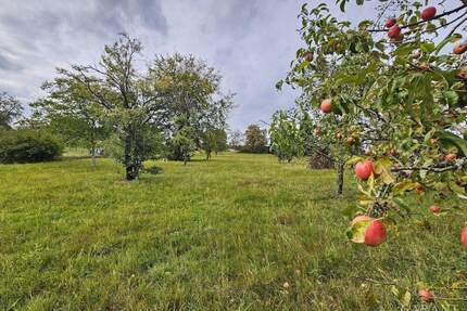 !! Landidylle pur !! - 475.000,00&nbsp;EUR Kaufpreis, ca.&nbsp; 255,00&nbsp;m&sup2;&nbsp;Wohnfl&auml;che in Mainhardt (PLZ: 74535) Schönhardt