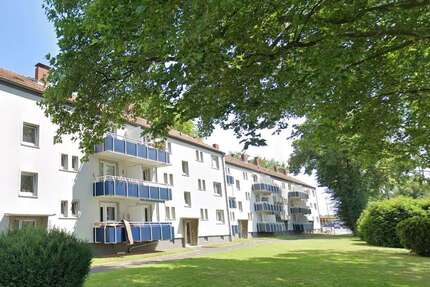 Wohnung zum Mieten in Köln 672,00 € 64 m²