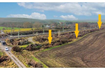 AUKTION: Grün- und Gehölzflächen - Seegebiet Mansfelder Land