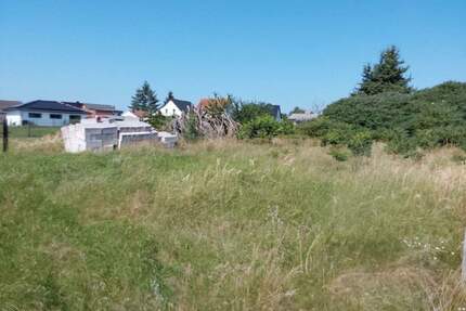 tolles Grundstück in ruhiger grüner Lage von Söllichau - Bad Schmiedeberg