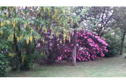 3-Zimmer Wohnung in Marienheide-Rodt