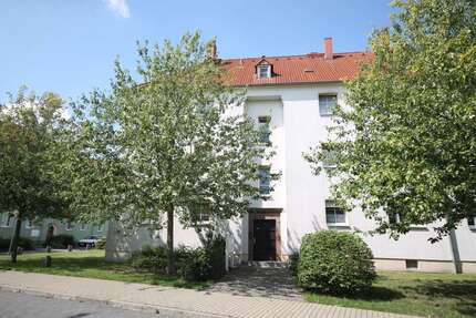 Wohnung zum Mieten in Bitterfeld-Wolfen 350,00 € 50 m²