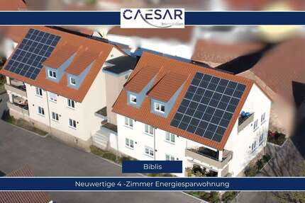 Wohnung zum Mieten in Biblis 1.685,00 € 149 m²