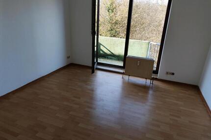 1 Zimmer Wohnung mit Balkon Trier (Pluwiger Straße)