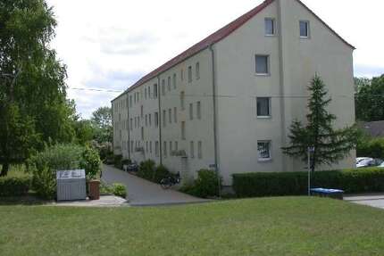 Wohnung zum Mieten in Dommitzsch 331,00 € 68.3 m²