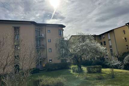 Wohnung zum Kaufen in Freiburg 249.000,00 € 51 m²