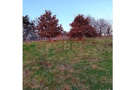 BAUEN MIT BLICK INS ALFTAL - 89.500,00&nbsp;EUR Kaufpreis, ca.&nbsp; 1.404,00&nbsp;m&sup2; in Kinderbeuern (PLZ: 54538)