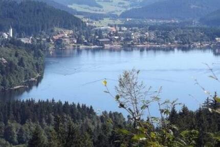 3-Zi. Wohnung Titisee - 1.100,00&nbsp;EUR Kaltmiete, ca.&nbsp; 103,00&nbsp;m&sup2;&nbsp;Wohnfl&auml;che in Titisee-Neustadt (PLZ: 79822)