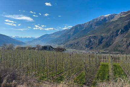 Ferienapartment Vinschgau Latsch f. 2 Personen - Nürnberg Erlenstegen