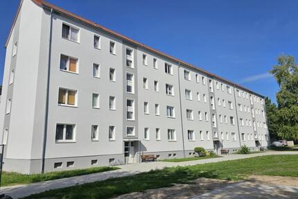 Schicke 4-Raum-Wohnung * Geiseltal * Balkon *Erdgeschoss - Braunsbedra