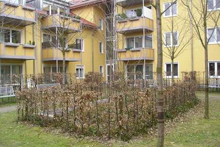 Wohnung zum Mieten in Köln 397,50 € 66.92 m²