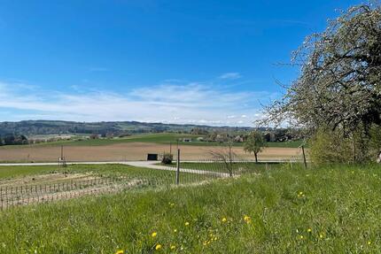 Freizeitgrundstück, Streuobstwiese - Frickingen