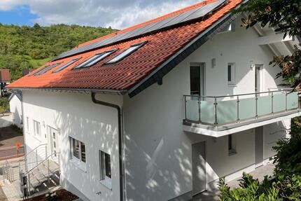 3-ZKB Neubauwhg. mit EBK, Südterrasse und Solarstrom: Erstbezug - Rockenhausen
