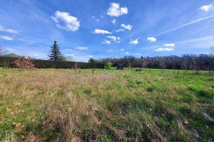Traumhafte Kulisse, perfekte Chance - Jetzt Eigentum sichern - Löwenberger Land Nassenheide