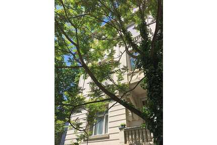 Wohnung zum Kaufen in Wiesbaden 271.000,00 € 66.9 m²