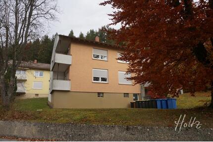 Kurzfristig beziehbar ... gut geschnittene 3-Zimmer-Wohnung in Immendingen !!