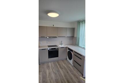 1-Zimmer Appartment möbliert Erstbezug nach Renovierung - Bayreuth Bernecker Straße / Insel / Riedelsberg