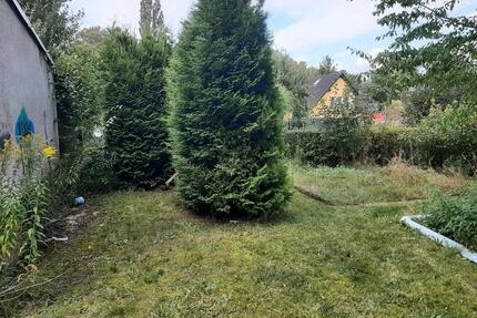 Garten in Schönau aus Zeitgründen abzugeben - Chemnitz Grüna