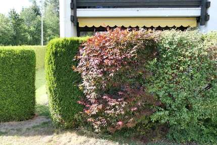 Wohnung zum Kaufen in Bad Tölz 295.000,00 € 58.88 m²