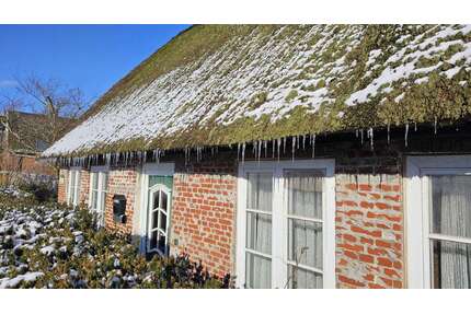 Haus zum Kaufen in Kollmar 165.000,00 € 63 m²