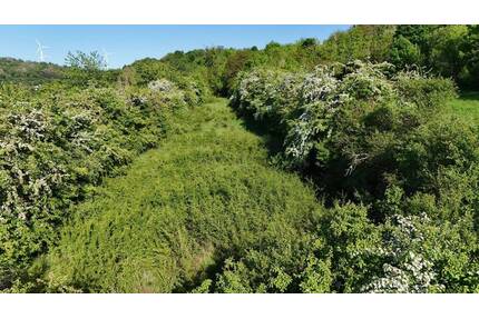 Streuobstwiese mit Teich - 20.000,00&nbsp;EUR Kaufpreis, ca.&nbsp; 0,00&nbsp;m&sup2; in Merzig (PLZ: 66663) Merchingen