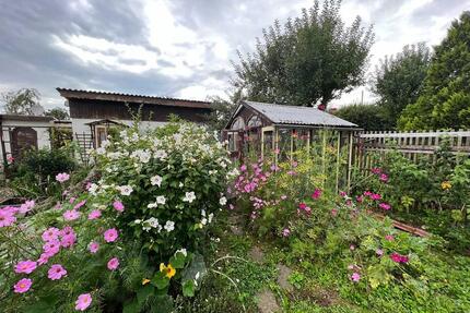 Kleingarten-Ablöse Gotha Am Schmalen Rain Haus & Brunnen