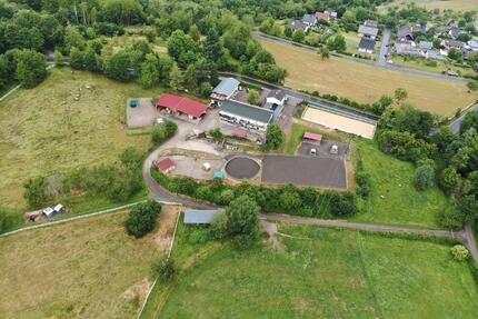 Pferdehof, Bauernhof, Reitanlage: Einnahmen ca. 9.000 €Mon. - Emmelshausen
