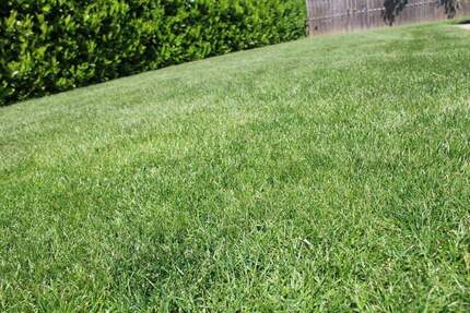 Juwel am Stadtrand - 380.000,00&nbsp;EUR Kaufpreis, ca.&nbsp; 0,00&nbsp;m&sup2; in Regensburg (PLZ: 93055) Schwabelweis