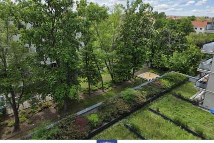 Wohnung zum Mieten in Dresden 755,00 € 61.86 m²