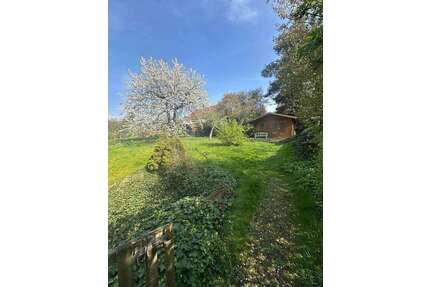 Wohnung zum Kaufen in Oberursel 420.000,00 € 99 m²