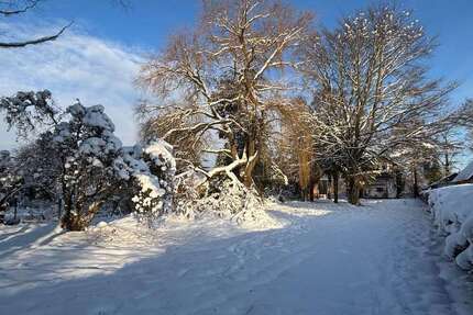 Grundstück zu verkaufen in Börnsen 225.000,00 €